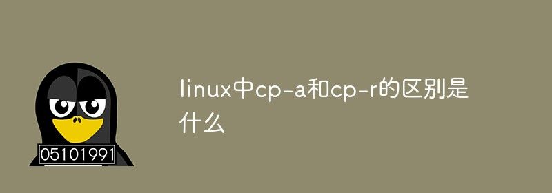 linux中cp-a和cp-r的区别是什么