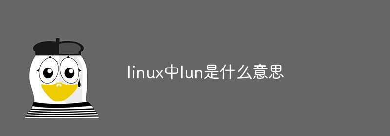 linux中lun是什么意思