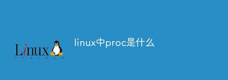 linux中proc是什么