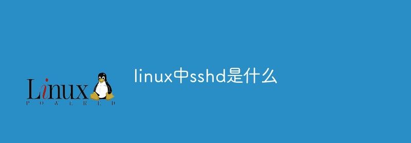 linux中sshd是什么