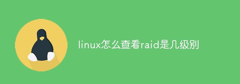 linux怎么查看raid是几级别