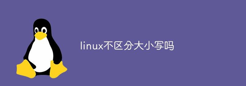 linux不区分大小写吗