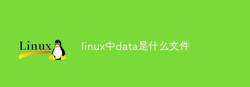 linux中data是什么文件