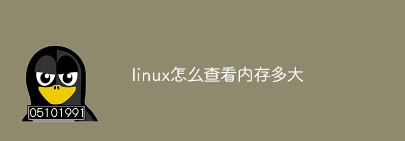 linux怎么查看内存多大