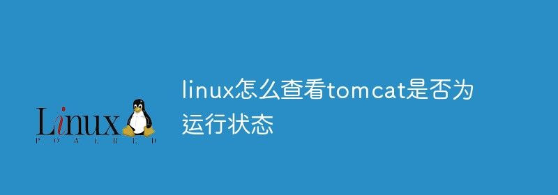 linux怎么查看tomcat是否为运行状态