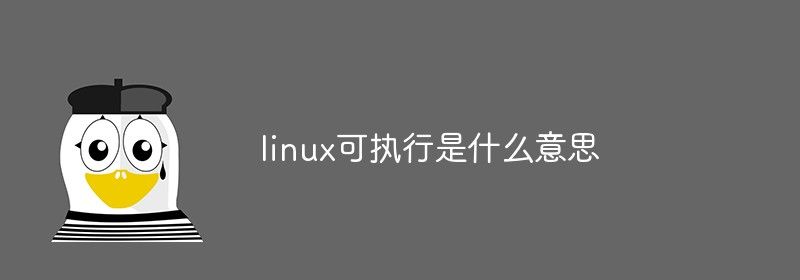 linux可执行是什么意思