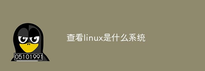 查看linux是什么系统