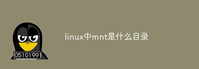 linux中mnt是什么目录