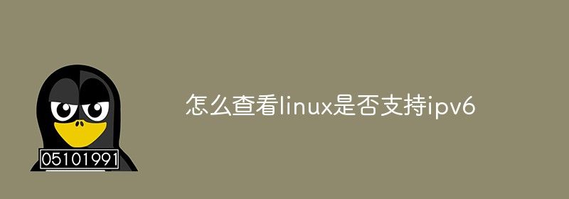 怎么查看linux是否支持ipv6