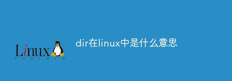 dir在linux中是什么意思