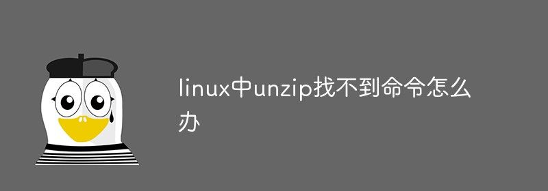 linux中unzip找不到命令怎么办