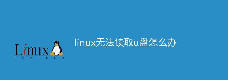 linux无法读取u盘怎么办