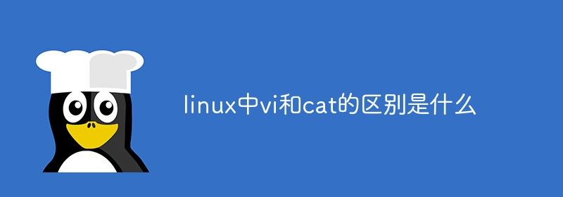 linux中vi和cat的区别是什么