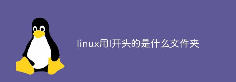 linux用l开头的是什么文件夹