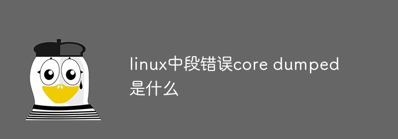 linux中段错误core dumped是什么