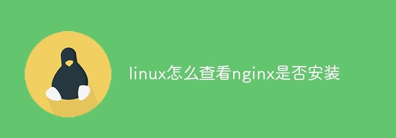 linux怎么查看nginx是否安装