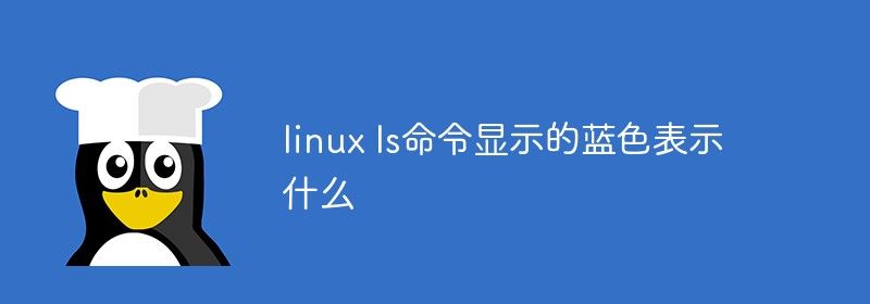 linux ls命令显示的蓝色表示什么