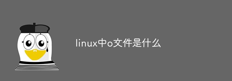 linux中o文件是什么