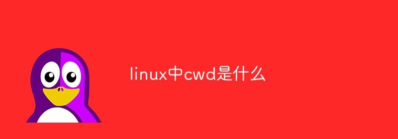 linux中cwd是什么