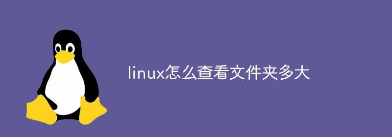 linux怎么查看文件夹多大