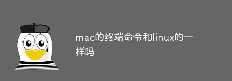 mac的终端命令和linux的一样吗