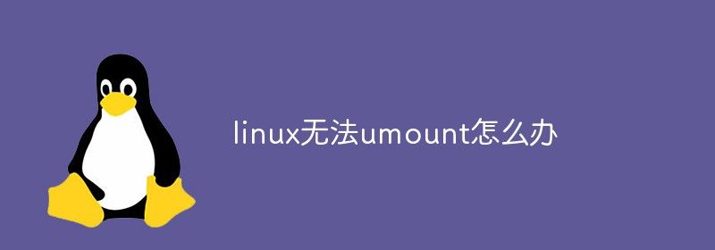 linux无法umount怎么办