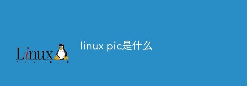 linux pic是什么