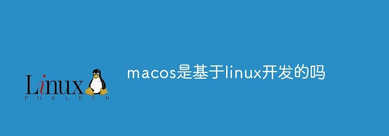 macos是基于linux开发的吗