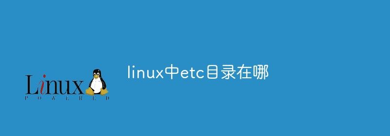 linux中etc目录在哪