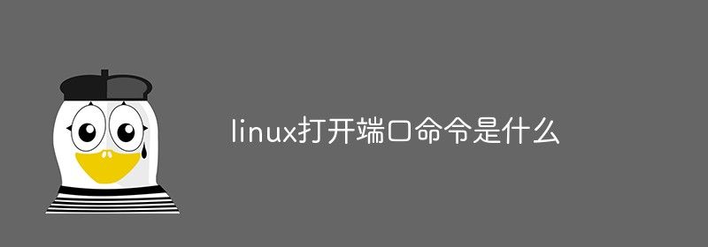 linux打开端口命令是什么