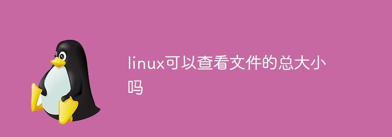 linux可以查看文件的总大小吗