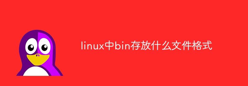 linux中bin存放什么文件格式