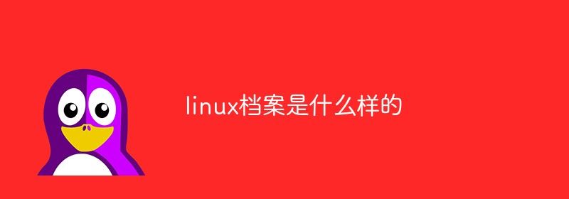 linux档案是什么样的