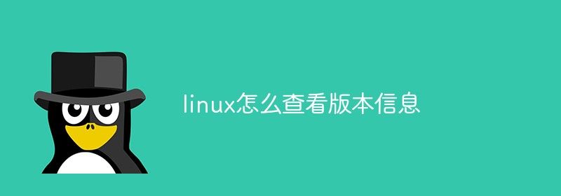 linux怎么查看版本信息