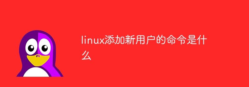 linux添加新用户的命令是什么