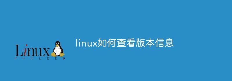 linux如何查看版本信息