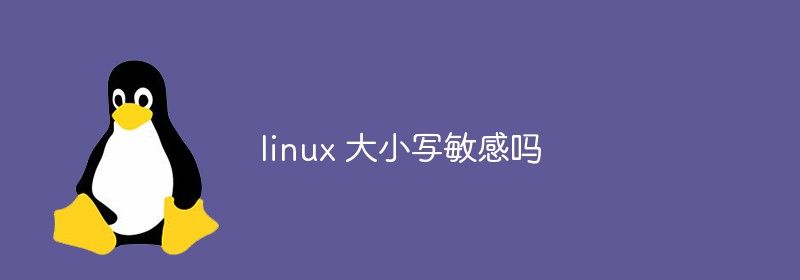 linux 大小写敏感吗