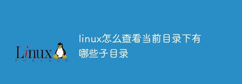 linux怎么查看当前目录下有哪些子目录