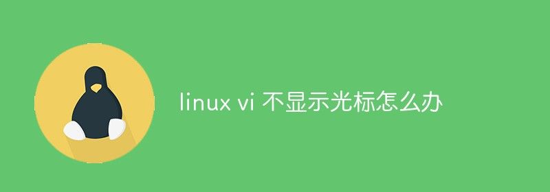 linux vi 不显示光标怎么办