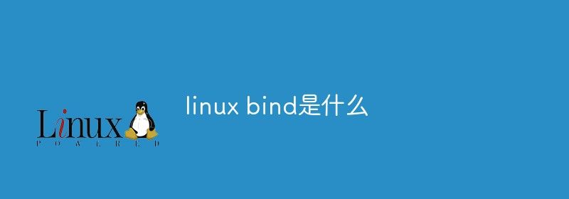 linux bind是什么