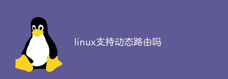 linux支持动态路由吗