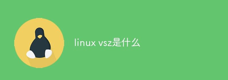 linux vsz是什么