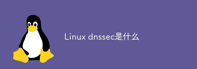 Linux dnssec是什么