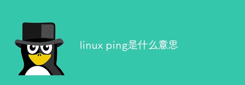 linux ping是什么意思