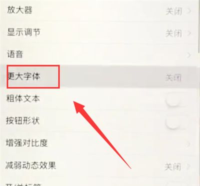 苹果6plus中调小字体的操作步骤截图