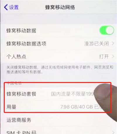 苹果手机查询移动流量的简单操作截图