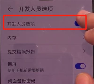 华为mate30中关闭开发人员选项的操作教程截图