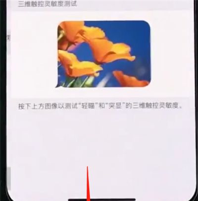 iphonexs开启半屏功能的简单步骤截图