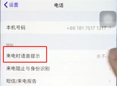 ios12中打开来电语音播报的详细步骤截图