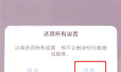 vivonex中恢复出厂设置的操作方法截图